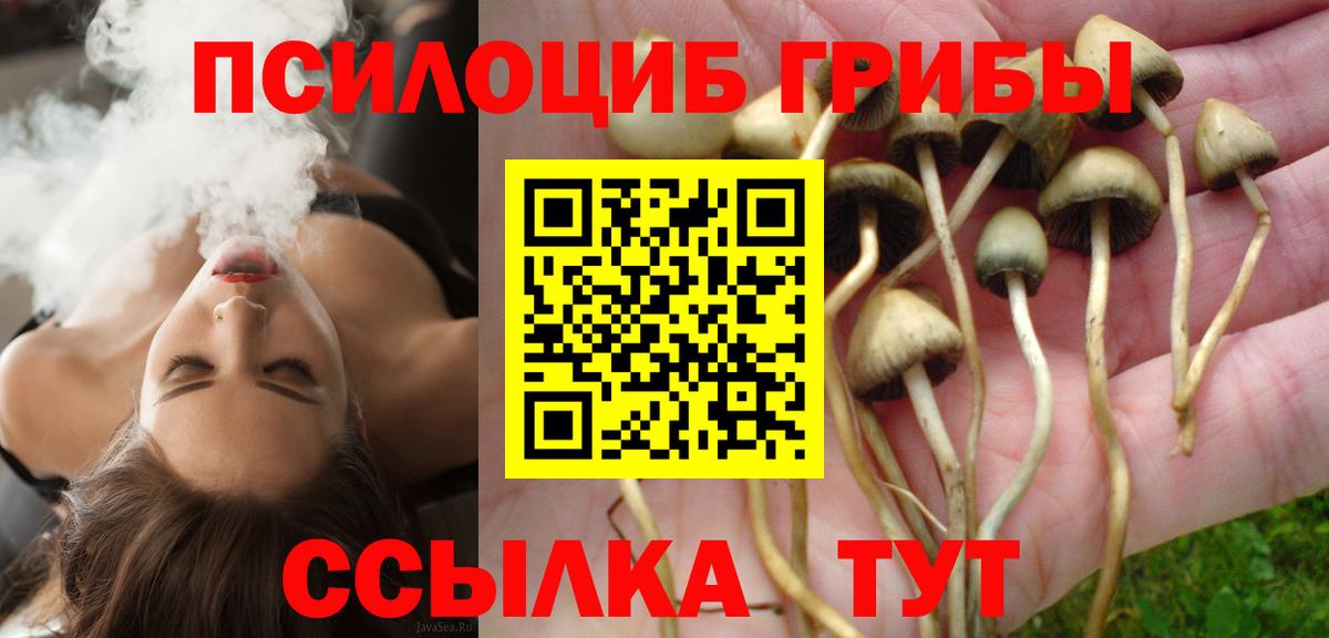 Миасс  Псилоцибиновые грибы MAGIC MUSHROOMS  Вход с VPN 
